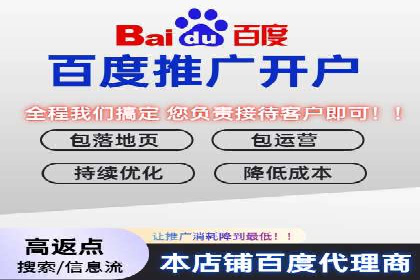 百度竞价包年推广策略深度解读与案例分析